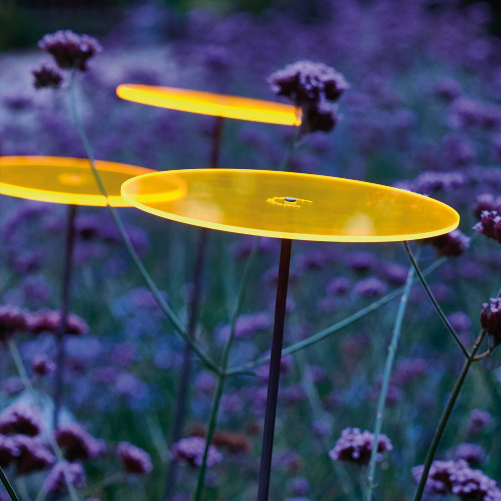 Zonnevangers Cazador Del Sol - Ø200mm x 175cm - Geel