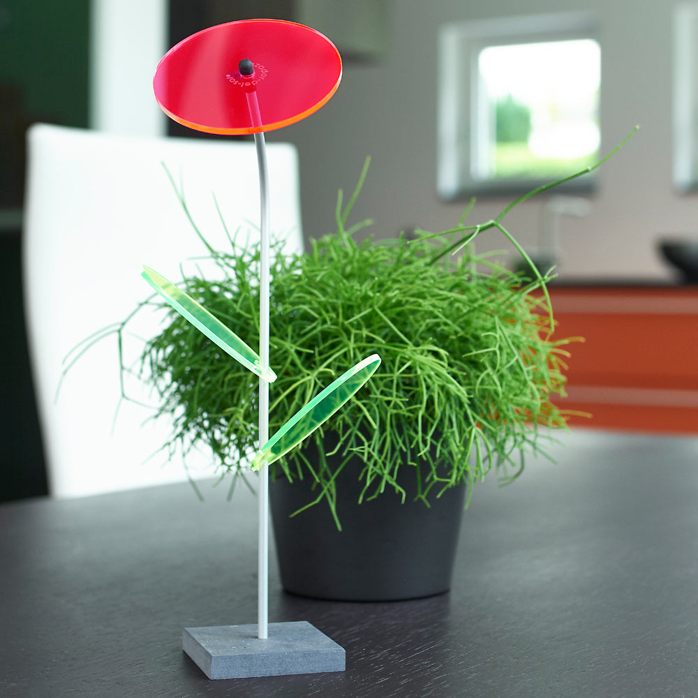 Znnevangers Lilly- Ø80mm x 26cm Set1 - Rood