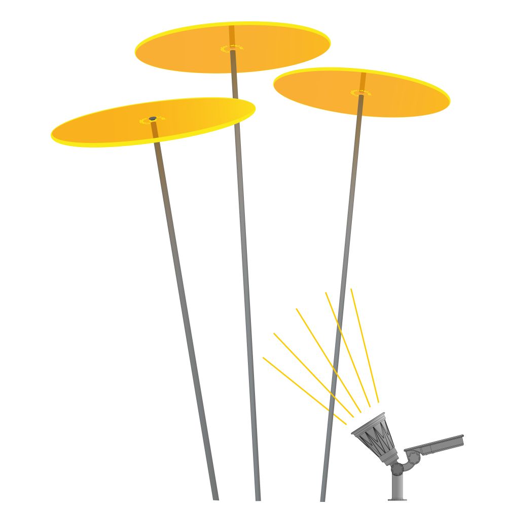 Luz Solar Zonnevanger verlichting - Zonnepaneel - 20cm - Zwart