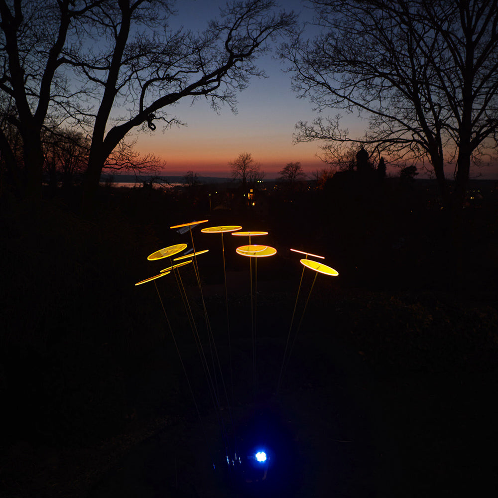 Luz Solar Zonnevanger verlichting - Zonnepaneel - 20cm - Zwart