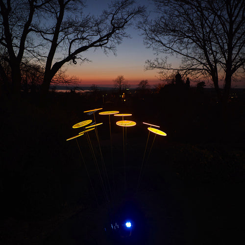 Luz Solar Zonnevanger verlichting - Zonnepaneel - 20cm - Zwart